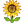 名称：向日葵
关键词：向日葵
尺寸：23×23
类型：PNG
