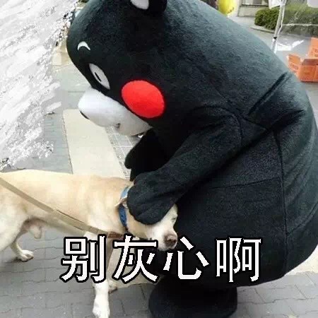 名称：IMG_0883
关键词：IMG_0883
尺寸：450×450
类型：JPG
