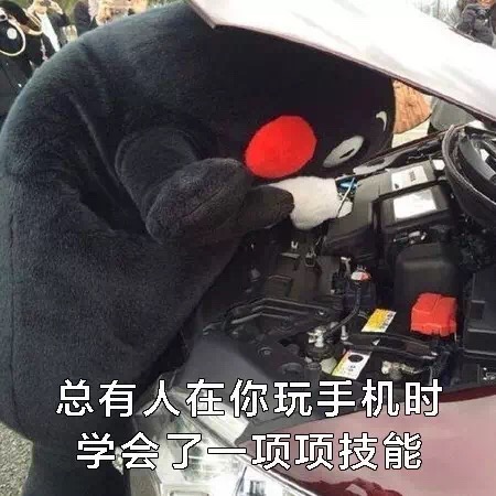 名称：IMG_0559
关键词：IMG_0559
尺寸：450×450
类型：JPG

