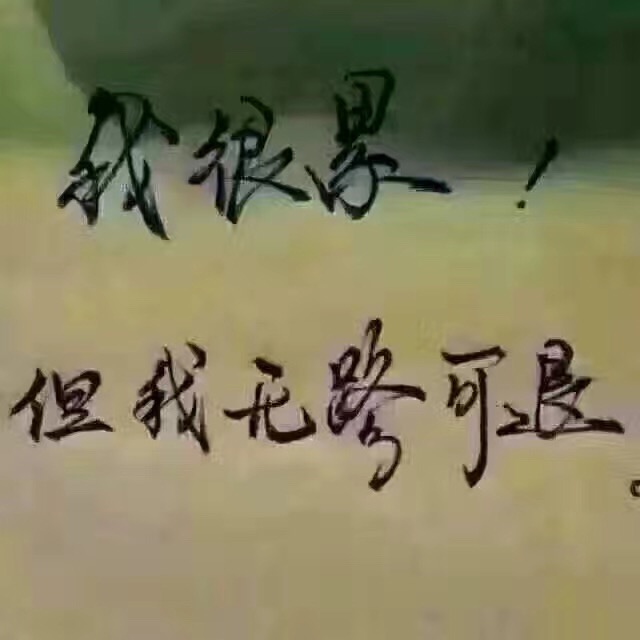 名称：我很累但我无路可退
关键词：我很累但我无路可退
尺寸：640×640
类型：JPG
