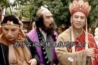 名称：为什么这头猪是我得队友
关键词：为什么这头猪是我得队友
尺寸：330×220
类型：JPG
