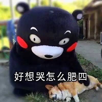 名称：IMG_2181
关键词：IMG_2181
尺寸：400×400
类型：JPG
