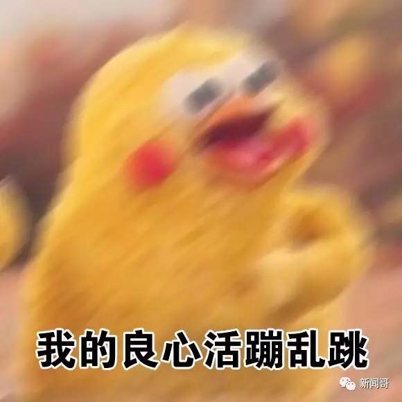 名称：我的良心活蹦乱跳
关键词：我的良心活蹦乱跳
尺寸：580×580
类型：JPG
