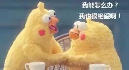 名称：我能怎么办我也很绝望啊
关键词：我能怎么办我也很绝望啊
尺寸：440×239
类型：JPG
