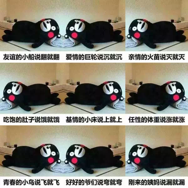 名称：说什么就什么
关键词：说什么就什么
尺寸：600×600
类型：PNG
