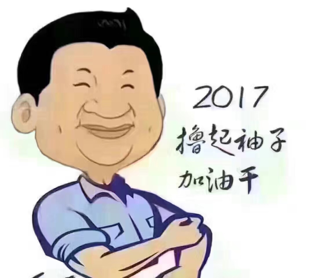 名称：2017撸起袖子加油干
关键词：2017撸起袖子加油干
尺寸：1074×960
类型：JPG
