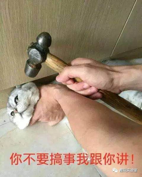 名称：你不要搞事我跟你讲
关键词：你不要搞事我跟你讲
尺寸：480×598
类型：JPG
