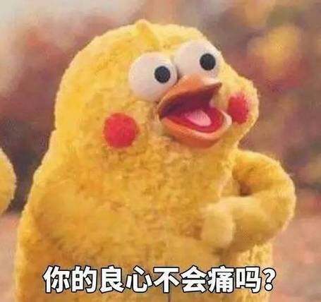 名称：你的良心不会痛吗
关键词：你的良心不会痛吗
尺寸：455×428
类型：JPG
