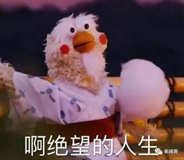 名称：啊绝望的人生
关键词：啊绝望的人生
尺寸：606×528
类型：JPG
