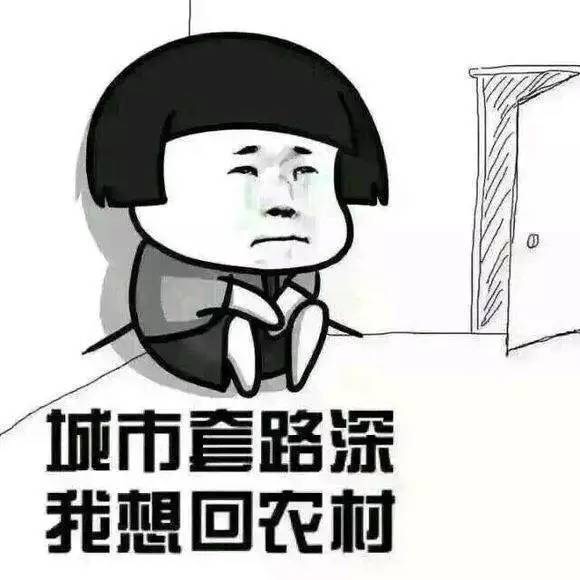 名称：城市套路深我想回农村
关键词：城市套路深我想回农村
尺寸：580×580
类型：JPG
