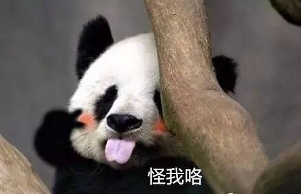 名称：怪我咯
关键词：怪我咯
尺寸：438×283
类型：JPG
