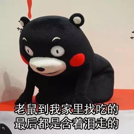 名称：IMG_0234
关键词：IMG_0234
尺寸：450×450
类型：JPG
