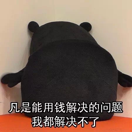 名称：IMG_0235
关键词：IMG_0235
尺寸：450×450
类型：JPG
