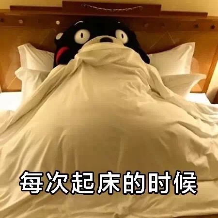 名称：IMG_0320
关键词：IMG_0320
尺寸：450×450
类型：JPG
