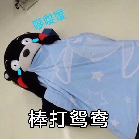 名称：IMG_0325
关键词：IMG_0325
尺寸：450×450
类型：JPG

